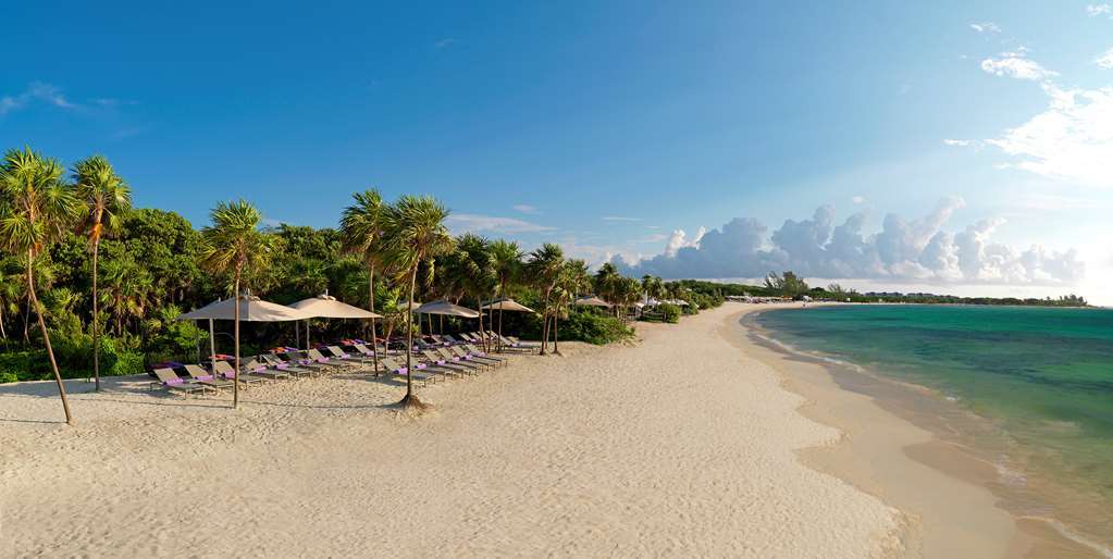 Royal Service At Paradisus La Perla (Adults Only) プレヤデルカーメン 自然 写真
