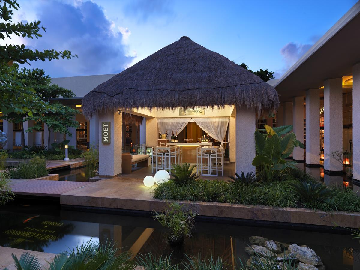 Royal Service At Paradisus La Perla (Adults Only) プレヤデルカーメン エクステリア 写真